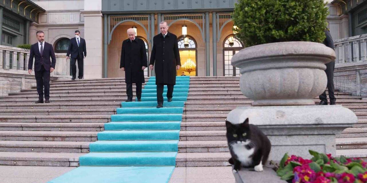 Cumhurbaşkanı Erdoğan ile MHP lideri Bahçeli iftar sofrasında bir araya geldi