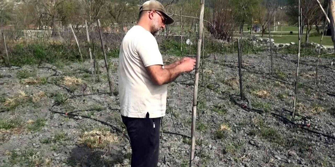 Yurt dışında gördüğü meyveyi yetiştirmeye başladı, yılda 300 bin TL kazanmayı hedefliyor