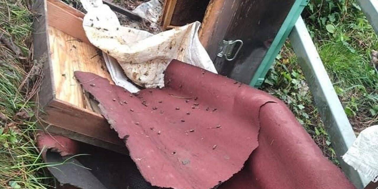 Arı kovanları tahrip edildi