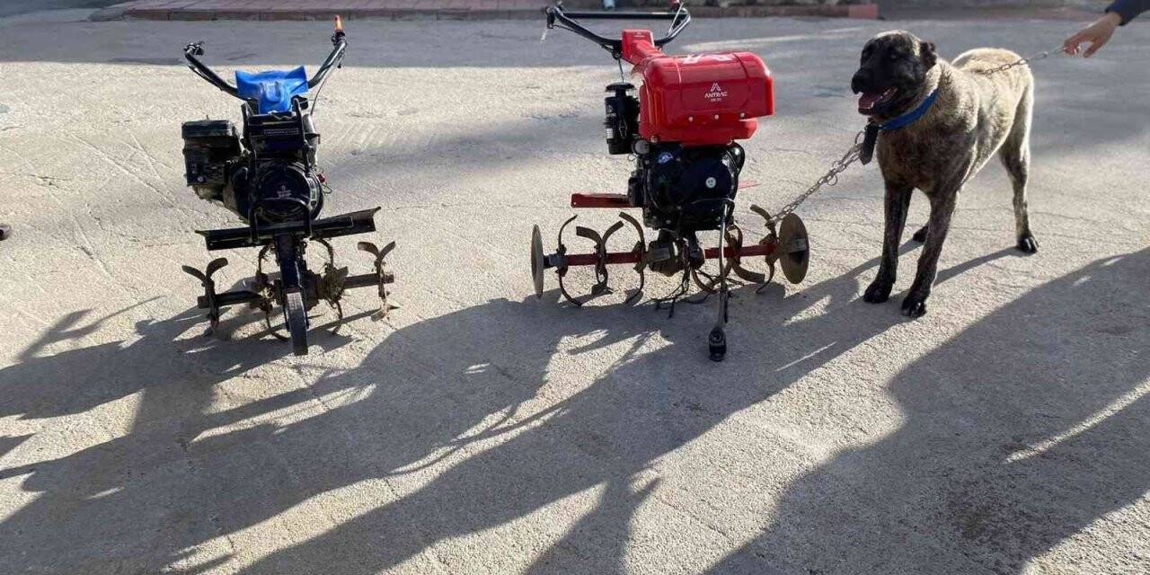 Elazığ’da çapa motoru ve kangal köpeği çalan şüpheliler yakalandı