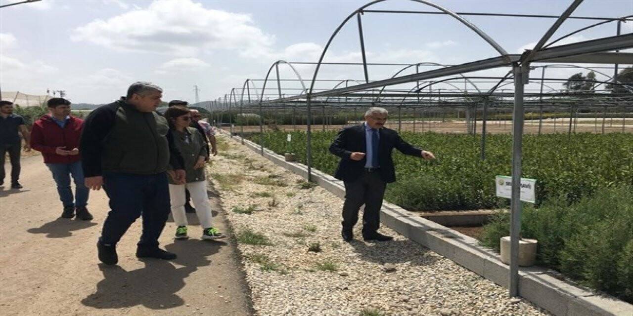 Yılmaz: "8 milyon fidan üreteceğiz"