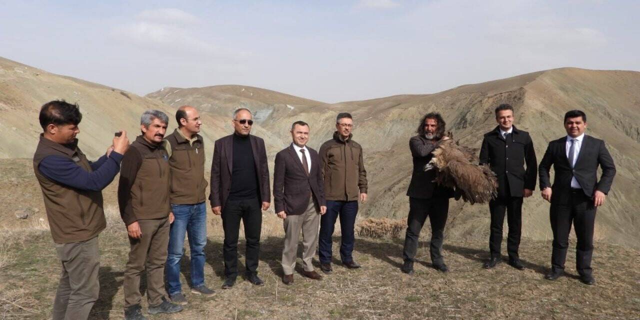 Van’da tedavi edilen yırtıcı kuşlar doğaya bırakıldı