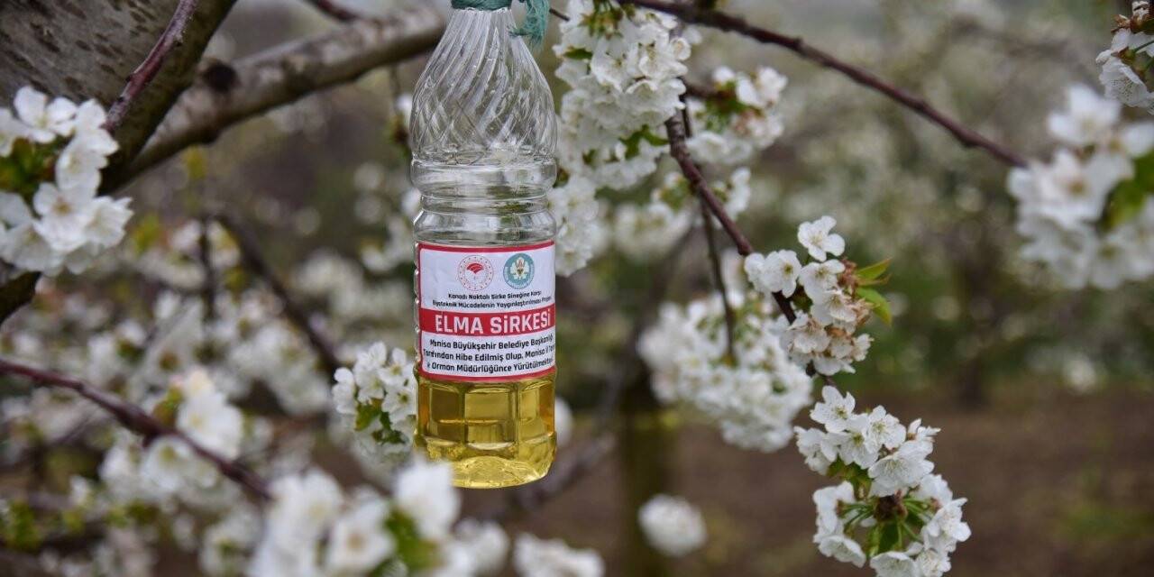 Üreticinin biyoteknik mücadelesine destek