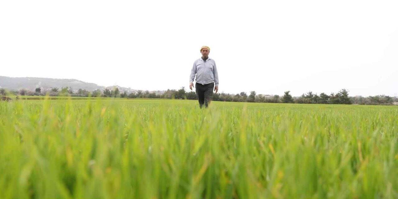 Çiftçinin yüzü gübre desteğiyle güldü