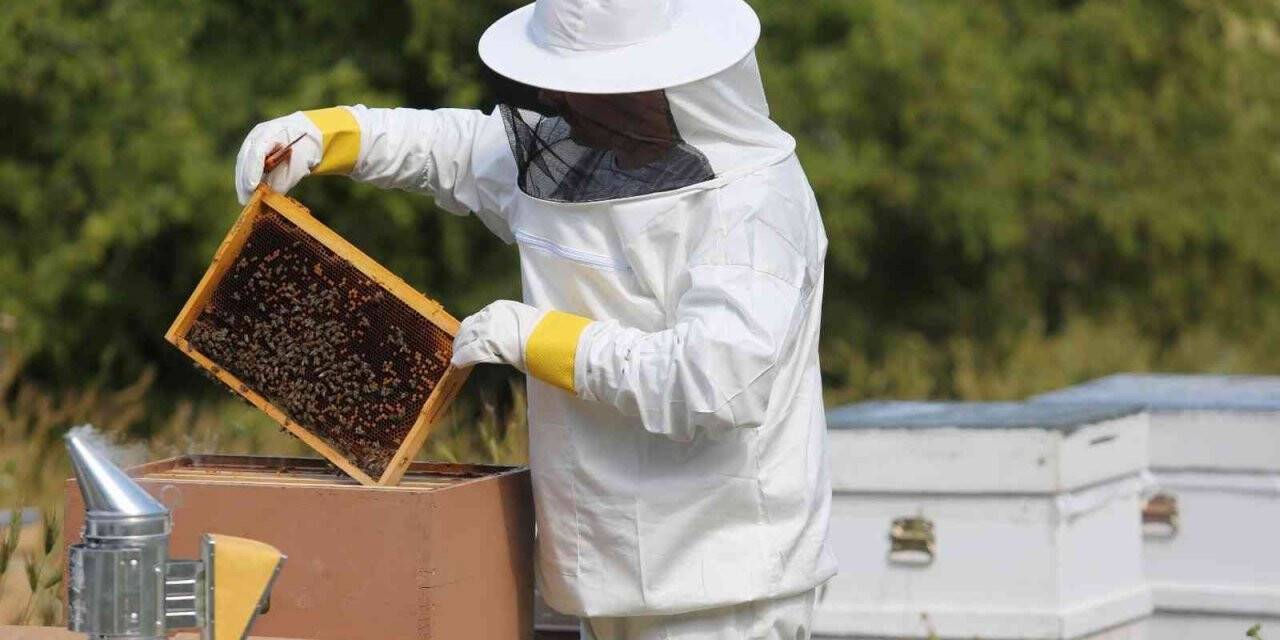 Erzincan’da bal üreticilerine 216 ton şeker dağıtıldı