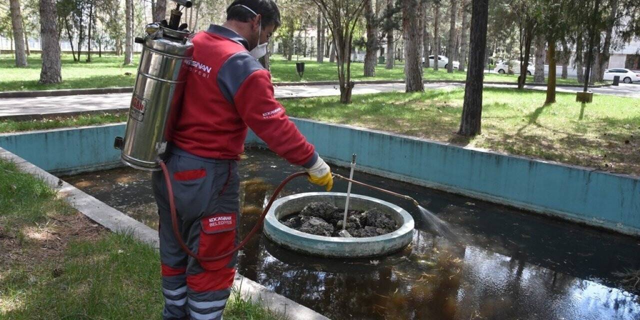 Kocasinan Belediyesi, haşereyle mücadeleye başladı