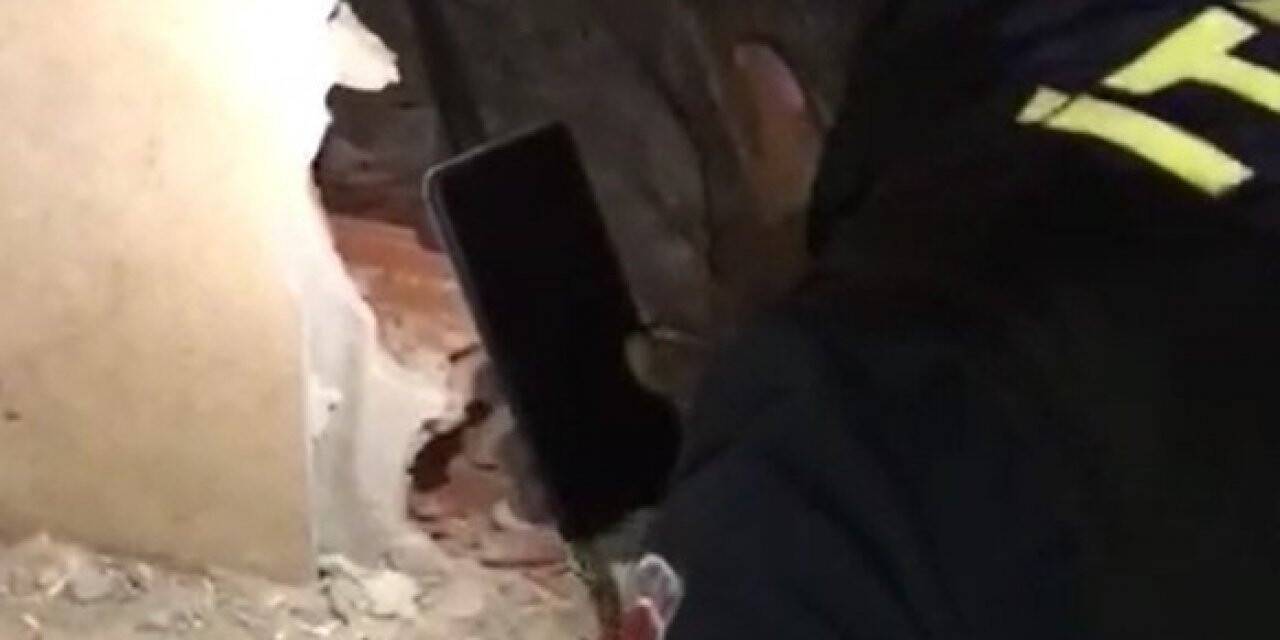 Mahsur kalan kedilere balyozlu kurtarma operasyonu