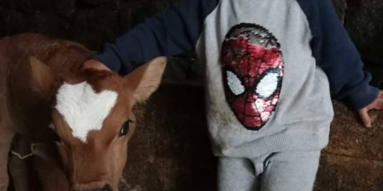 Pat pat devrildi, 3 yaşındaki Yiğit hayatını kaybetti