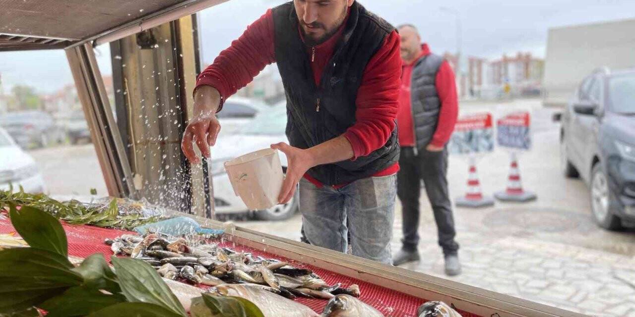 Avlanma yasağı başladı, tezgahları olta balıkları süslüyor