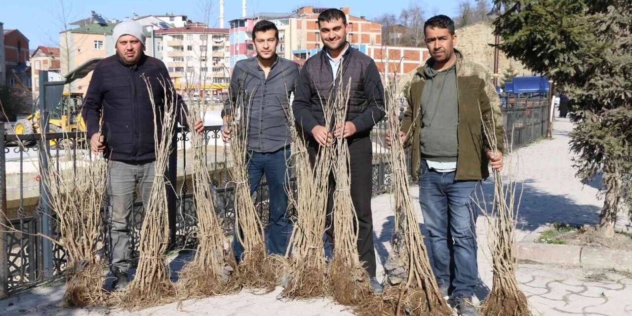 Ordu’da ipek böcekçiliği yaygınlaşıyor