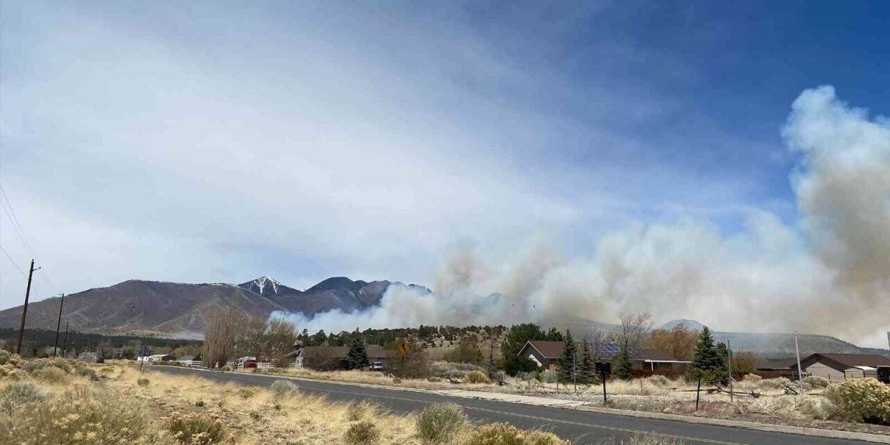 Arizona’da orman yangını şiddetli rüzgarın etkisiyle giderek yayılıyor