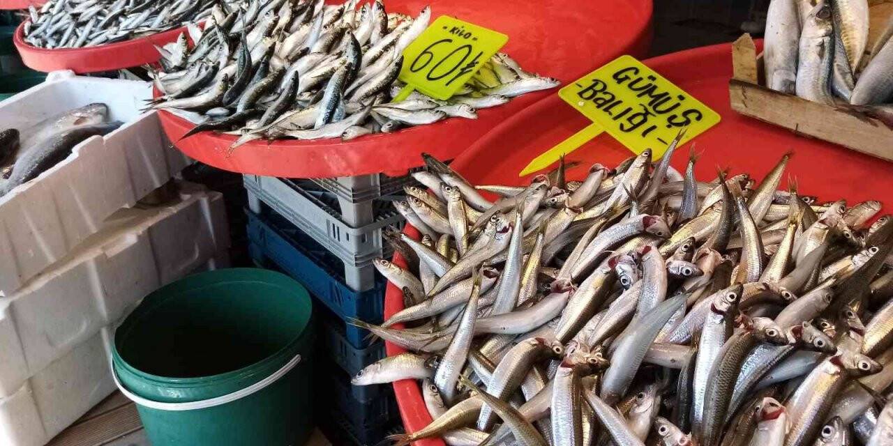 Av yasağı geldi, hamsinin fiyatı yükseldi