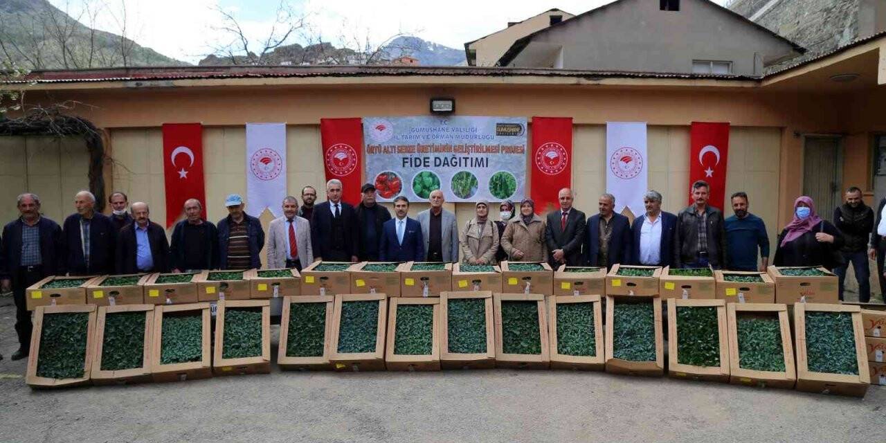 Gümüşhane’de üreticilere 150 bin sebze fidesi dağıtıldı
