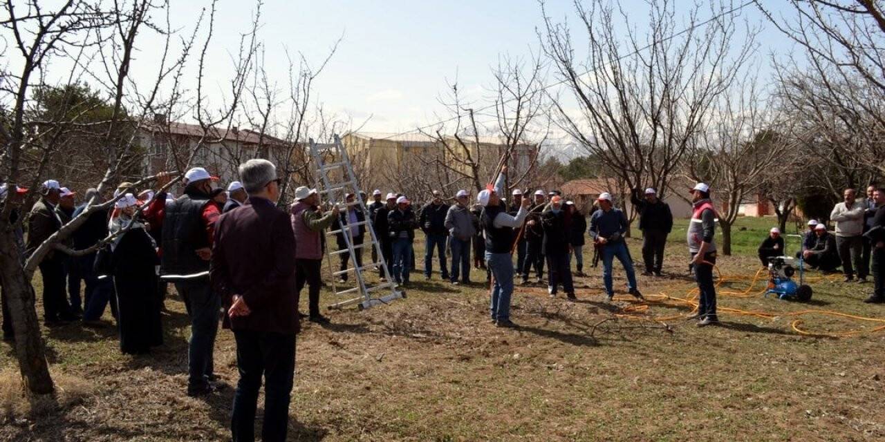 Erzincan’da “ Aşılama ve Meyve Ağacı Budama” kursu verildi