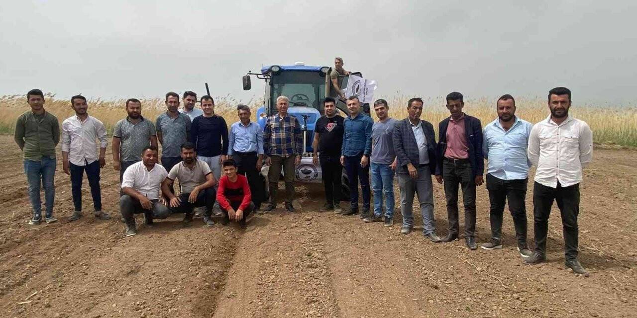 Silopi yer fıstığı markalaşıyor projesine start verildi