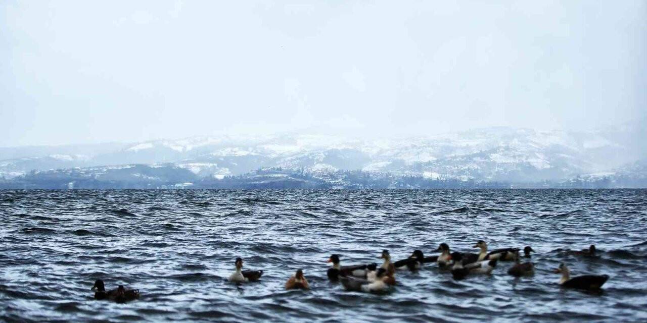 Sapanca Gölü’nde içme suyu kalitesi birinci sınıf