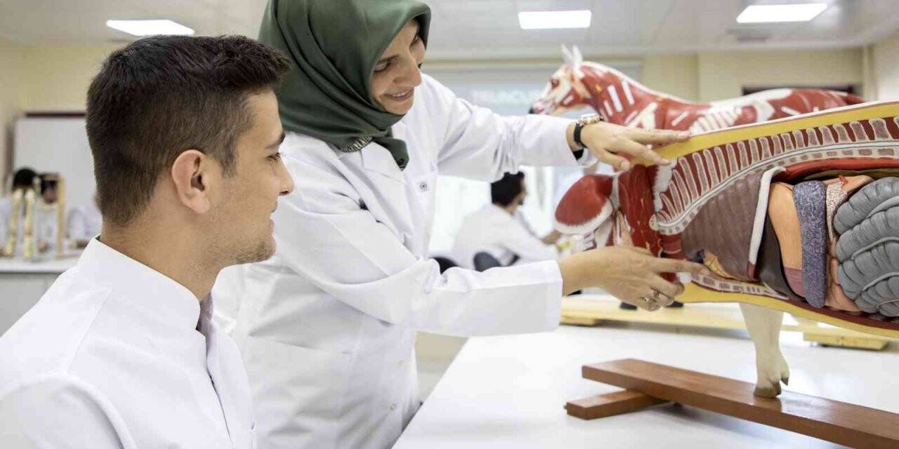 Veteriner Fakültesine 7 yıllık tam akreditasyon