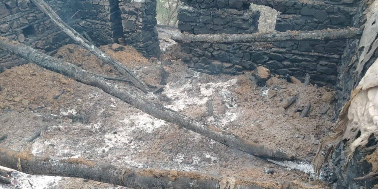 Kulp’ta ahır yangını: 76 hayvan telef oldu