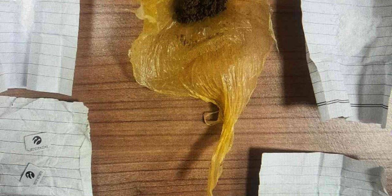 Van’da ‘torbacı’ operasyonu