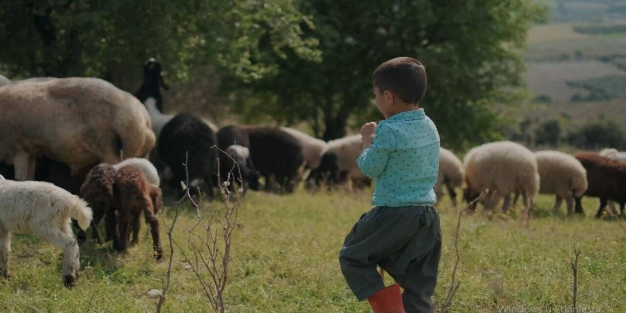 Mersin’de ’100 bin gülücük’ projesi