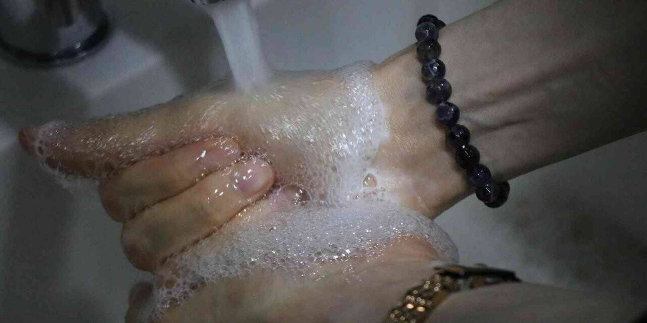 ’Salmonella’ vakaları: “Gıda sektöründe çalışanların yüzde 60’ı ellerini doğru yıkamıyor”