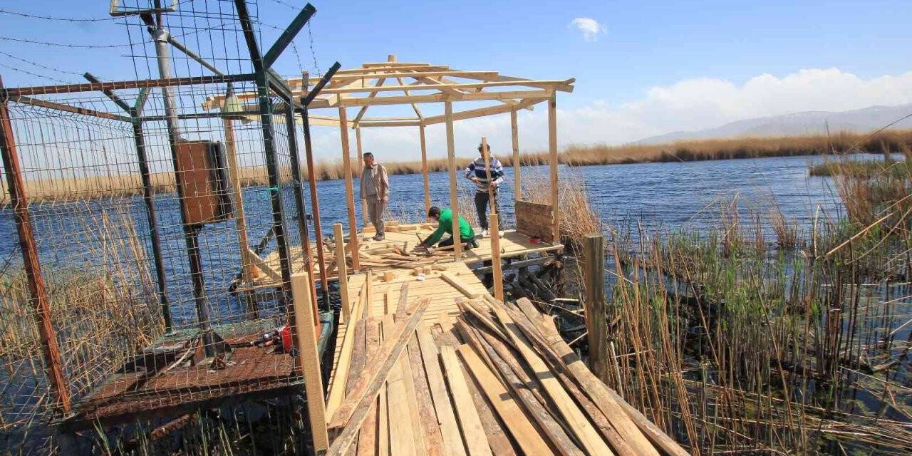 Sultan Sazlığı’nda yangının yaralı sarılıyor