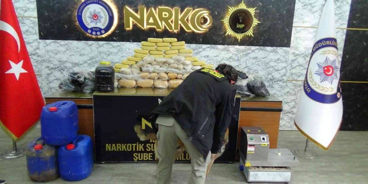 İstanbul’da uyuşturucu operasyonları: 1’i İranlı 14 şüpheli yakalandı