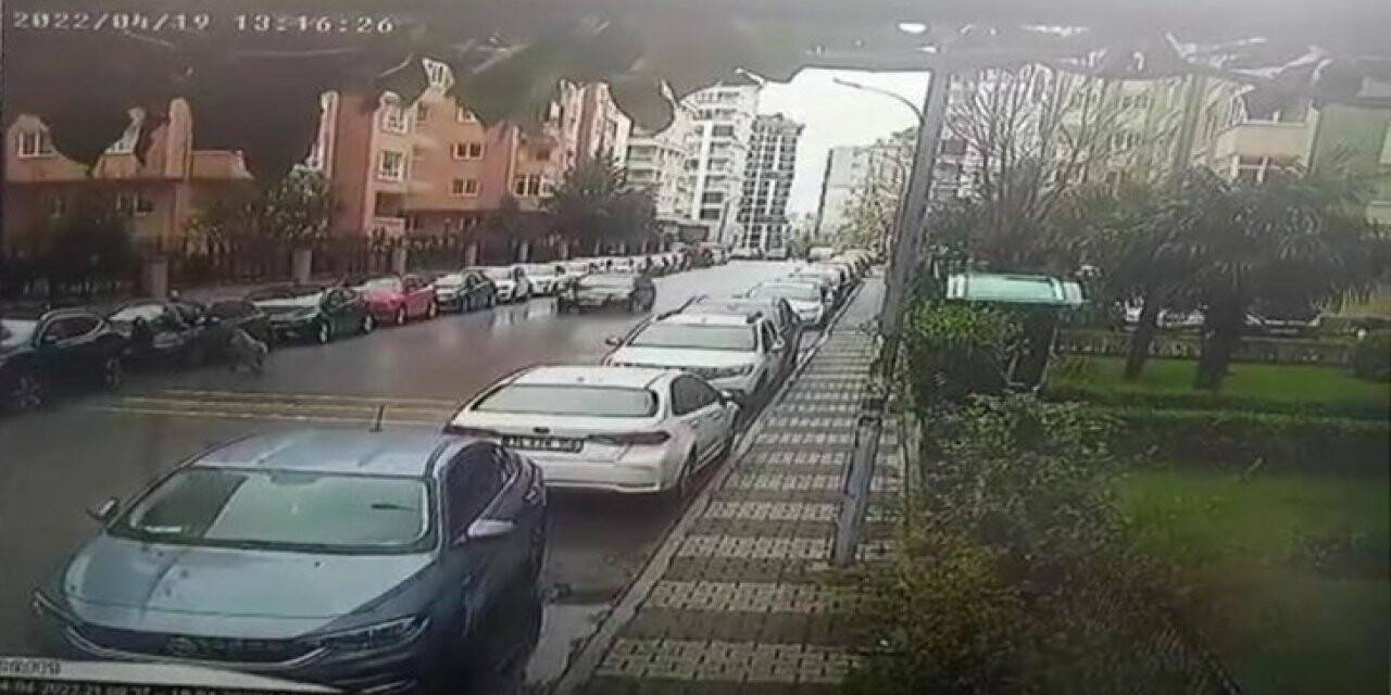 Maltepe’de pitbullun saldırdığı vatandaş otomobilin üzerine çıkarak canını kurtardı