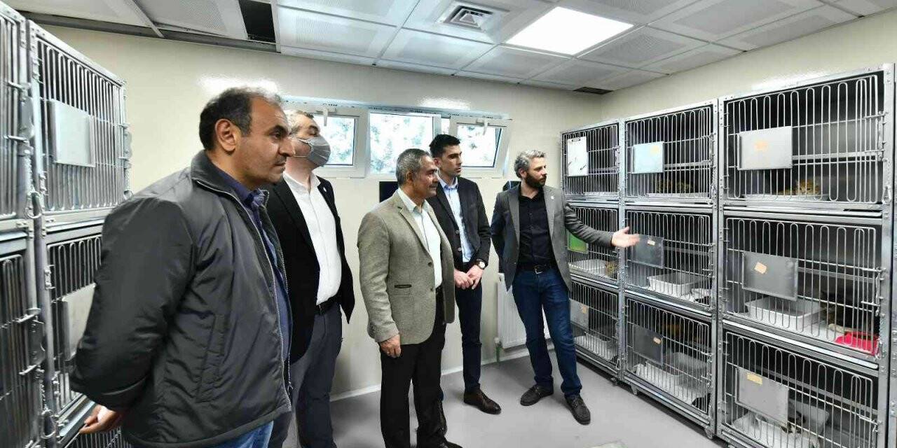 Sincan Kedi Tedavi Ünitesi ve Rehabilitasyon Merkezi görücüye çıktı