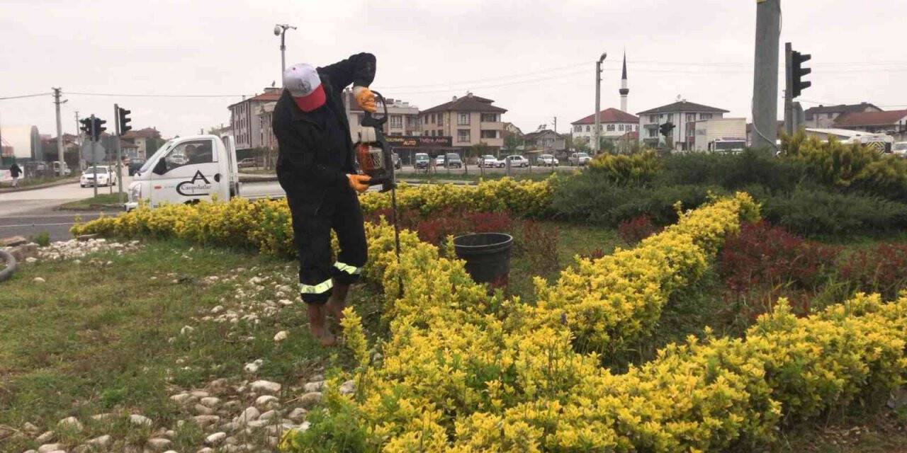 Düzce rengarenk bir görünüme kavuştu