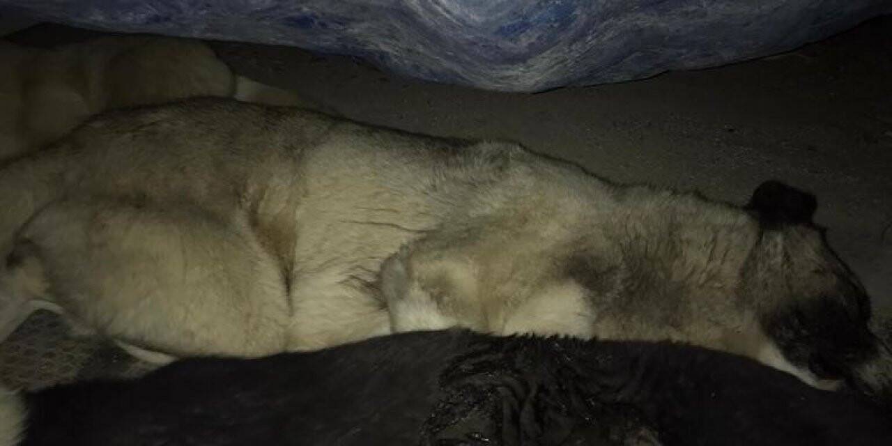 Mihalıççık’ta tepki çeken uygulama