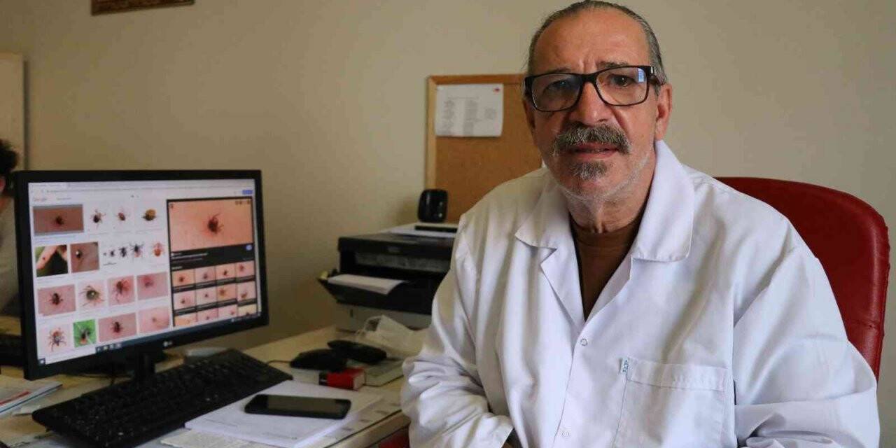 Yaz aylarının korkulu rüyası kene tutulmalarına karşı önemli uyarı