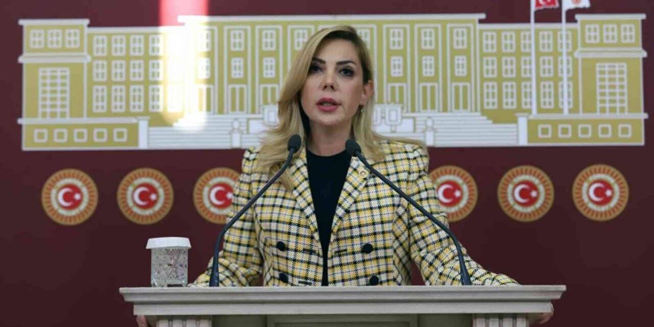 AK Parti Milletvekili Gökcan’dan 23 Nisan mesajı