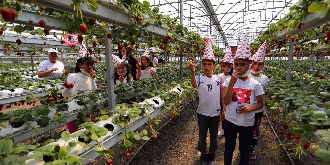 Seydikemer’de ‘Çilek Çocuk Şenliği’