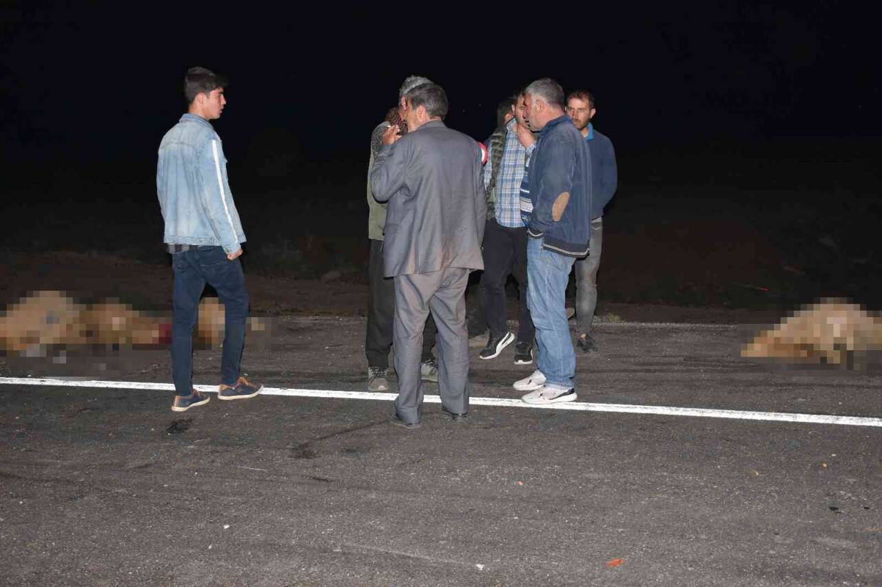 Otomobil koyun sürüsüne daldı