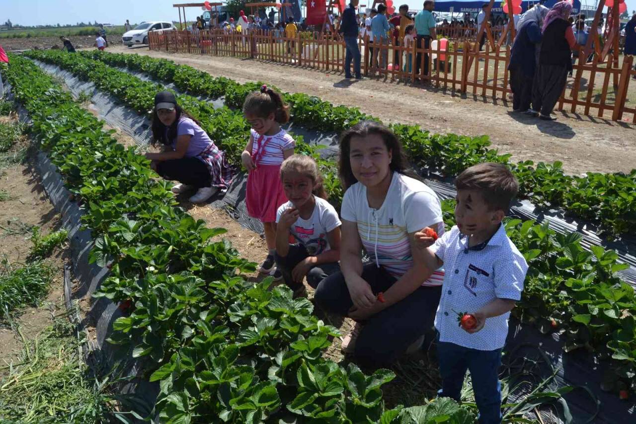 Çilek tarlasında çocuklarla hasat şenliği