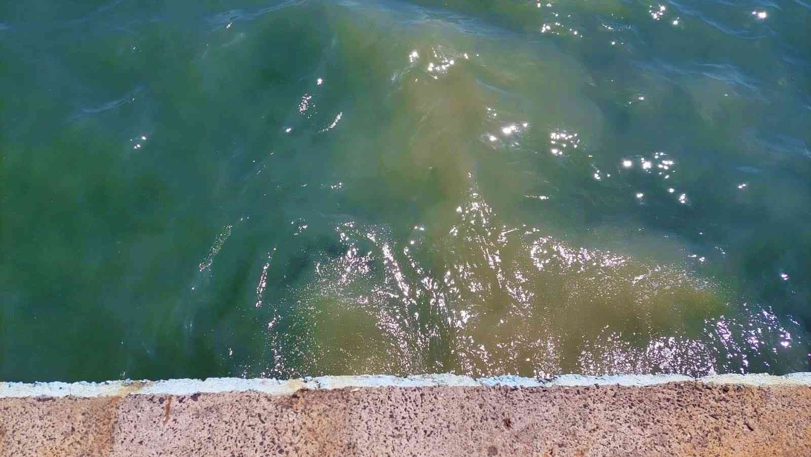 Marmara Denizi’nde korkutan sonuçlar: TESKİ, denizi 65 kat kirletiyor
