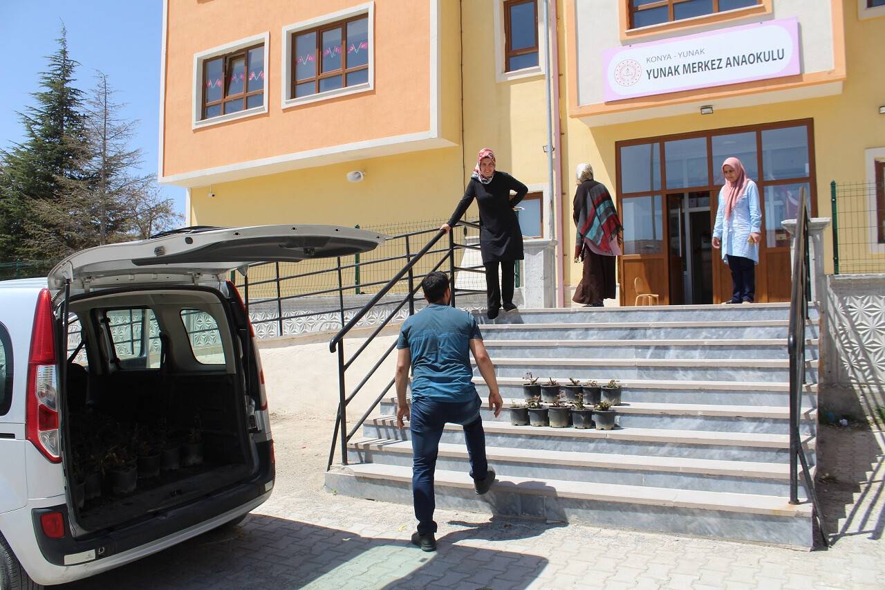 Yunak Belediyesi, resmi kurumlara peyzaj bitkileri dağıttı