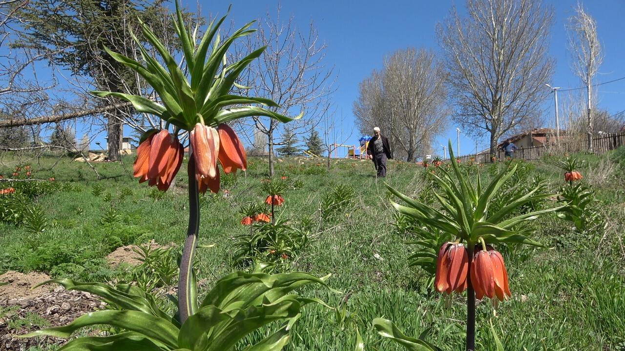 Kar ’Ağlayan Gelin’in yüzünü güldürdü