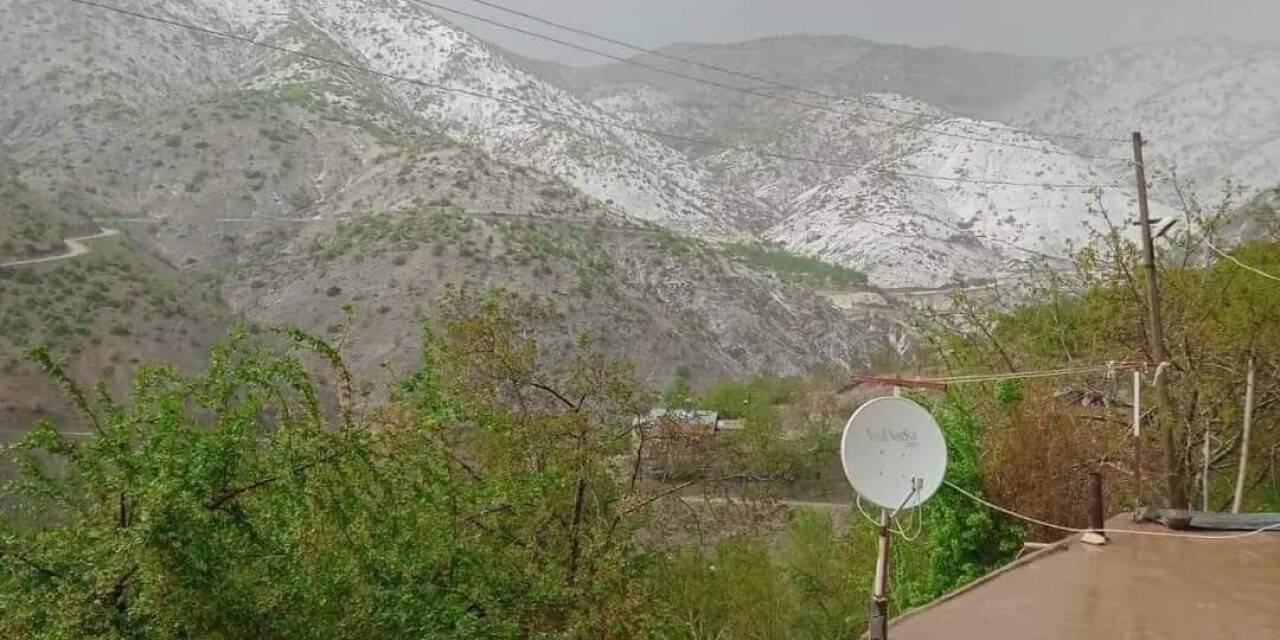 Elazığ’da kayısıyı dolu vurdu