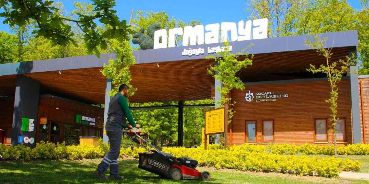 Ormanya bayrama hazır
