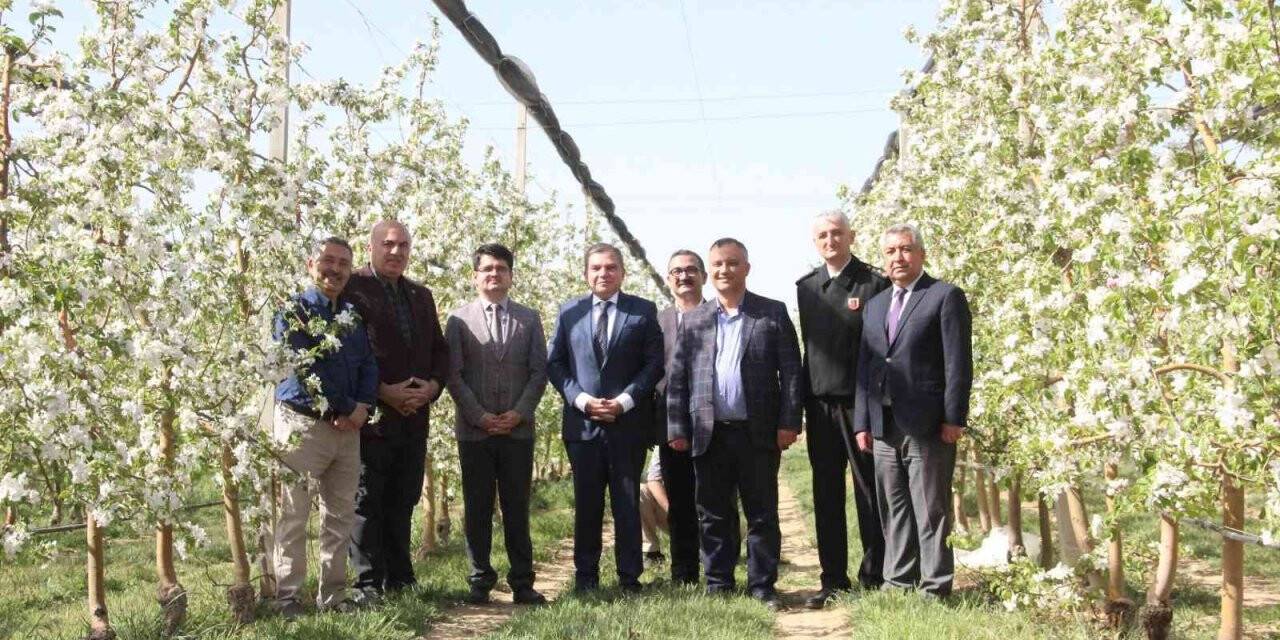 Türkiye’nin en büyük elma üreticisi Hindistan’a açılıyor