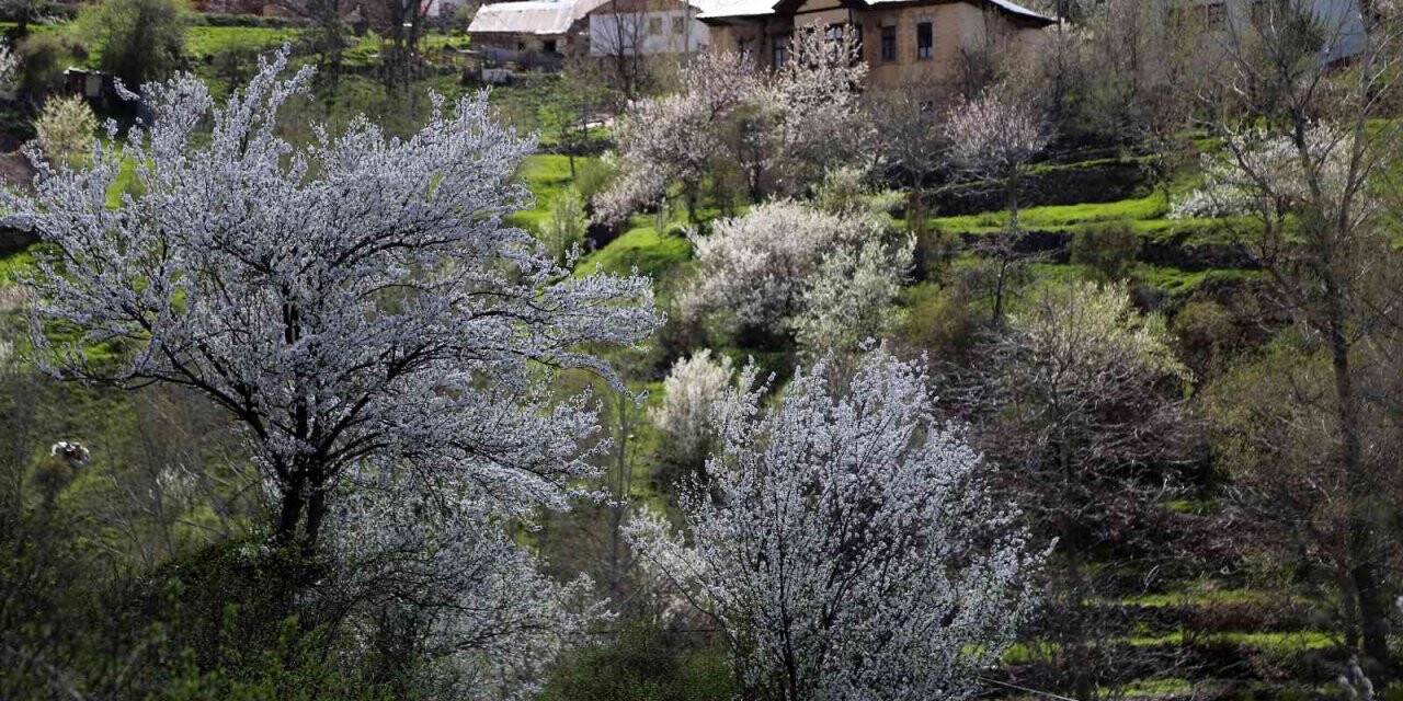 Tarihi mahalle bahar renklerine büründü, görsel şölen oluştu