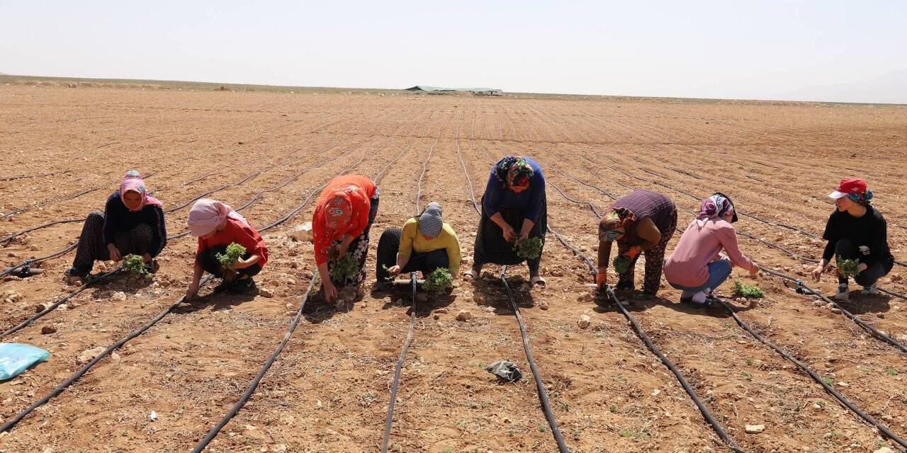Başkan Altay'dan üretime destek