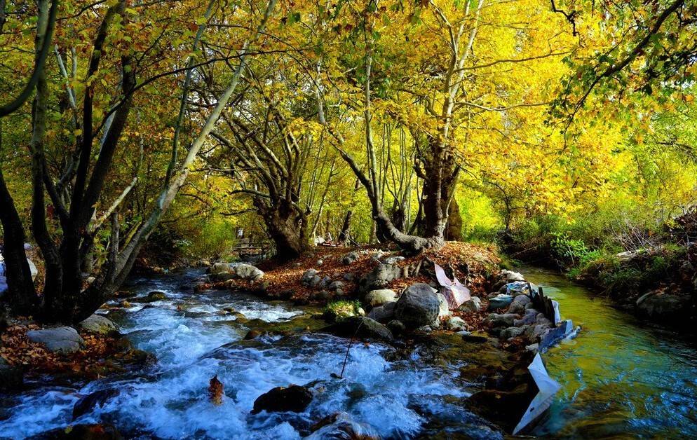 Doğu Anadolu’da en yüksek sıcaklık Kemaliye’de en düşük sıcaklık Erzurum Gözlemevi’nde ölçüldü