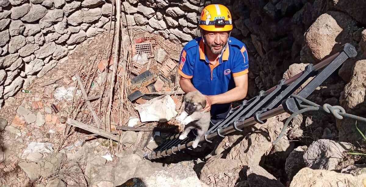 Kuyuda mahsur kalan yavru köpek için AFAD seferber oldu