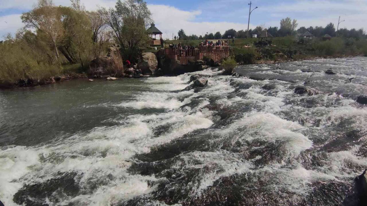Uçan balıklar izleyenlere görsel şölen sunuyor