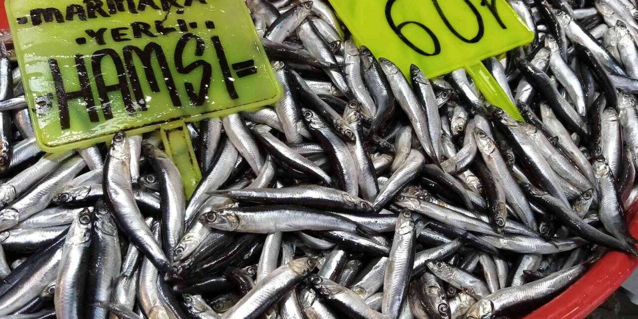 Marmara’da Mayıs ayında hamsi sürprizi