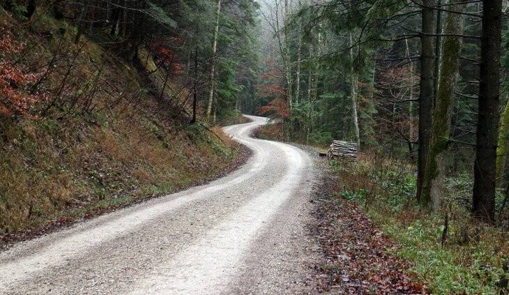 B Tipi orman yolu yapılacak