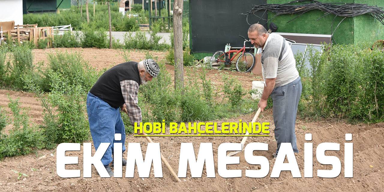 Karatay Hobi Bahçelerinin sakinleri ekim sezonunu açtı